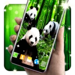 Logo of Panda Parallax Wallpapers android Application 